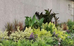 不看不知道，客戶這一年又做了這么多園林項目！